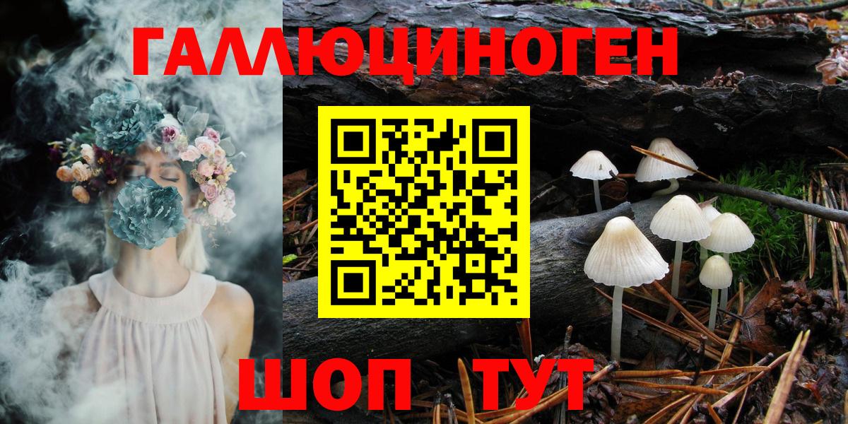 Галлюциногенные грибы Cubensis  Галлюциногенные грибы Psilocybe  Комсомольск-на-Амуре  как найти   Вход с VPN 